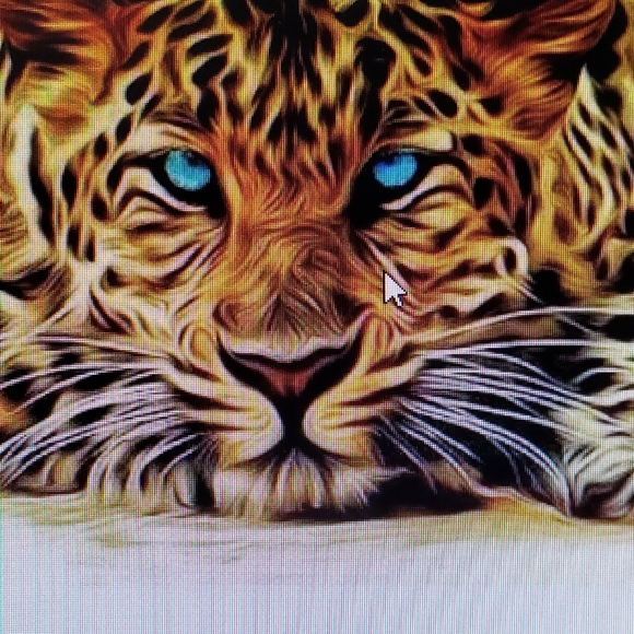 Meet your Ambassador Posher, Gale - Picture 3 of 13